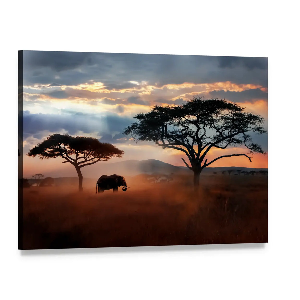 Wildlife Of Tanzania Canvas Wall Art, single panel gallery wrapped canvas, angled product view