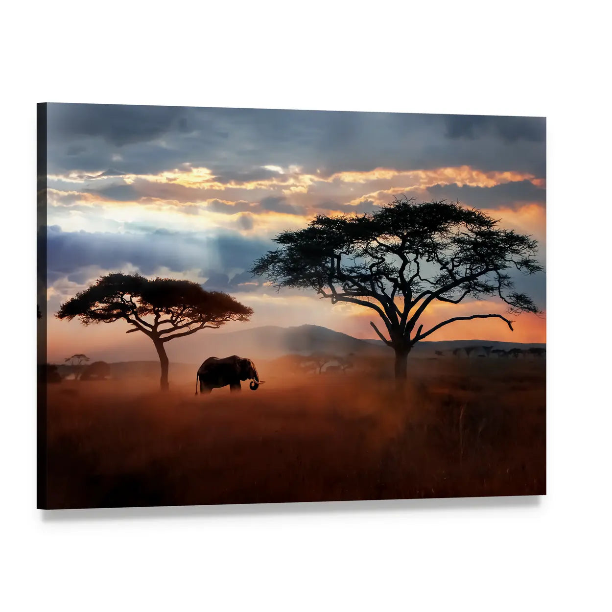 Wildlife Of Tanzania Canvas Wall Art, single panel gallery wrapped canvas, angled product view