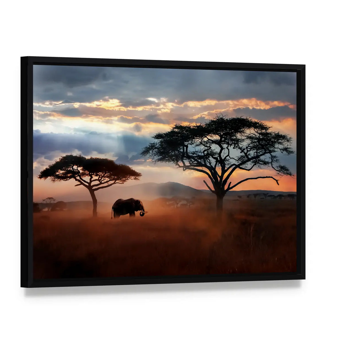 Wildlife Of Tanzania Canvas Wall Art, framed canvas in a black floater frame, angled product view