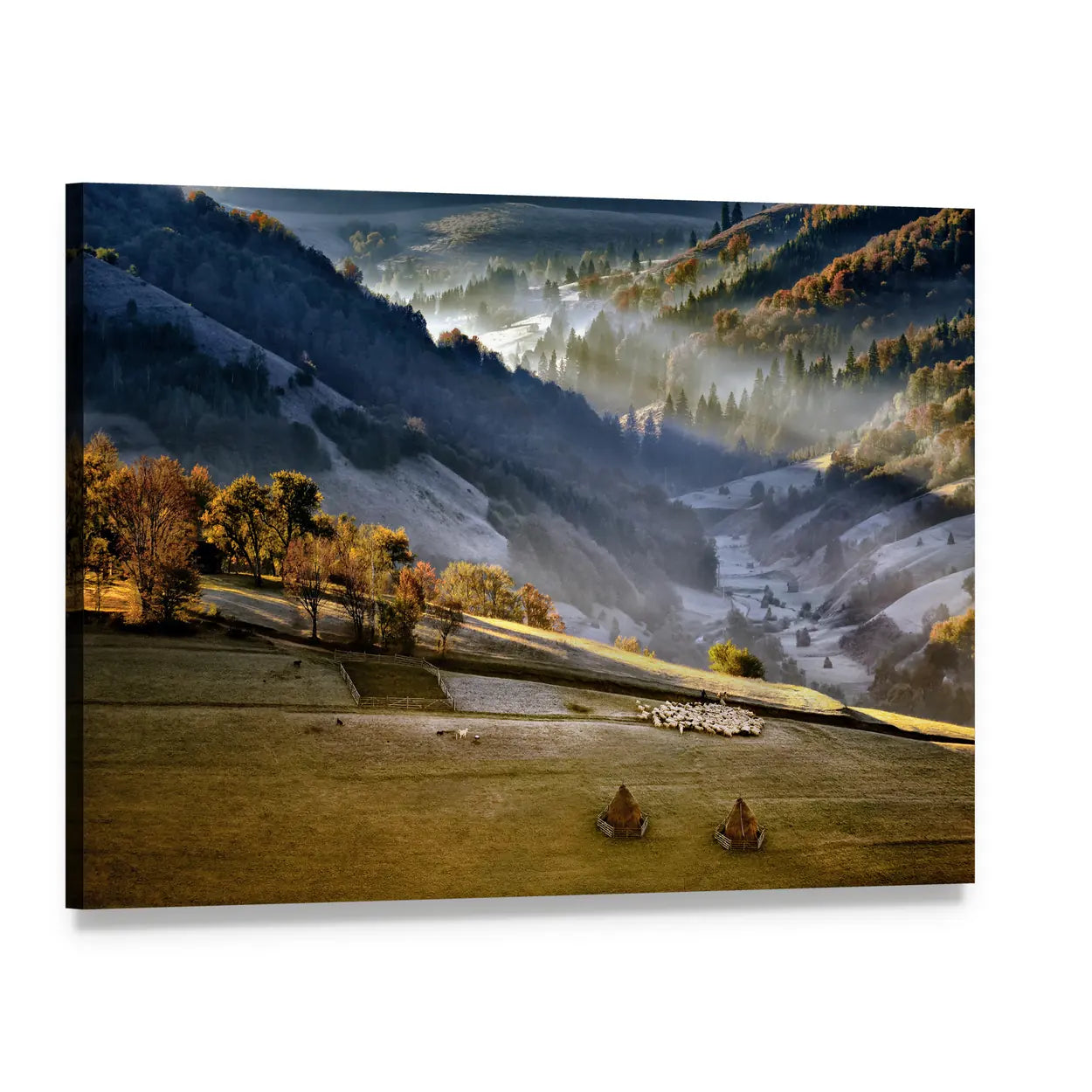 Shepherd With Sheep Heard In The Mountains Of Romania Canvas Wall Art, single panel gallery wrapped canvas, angled product view