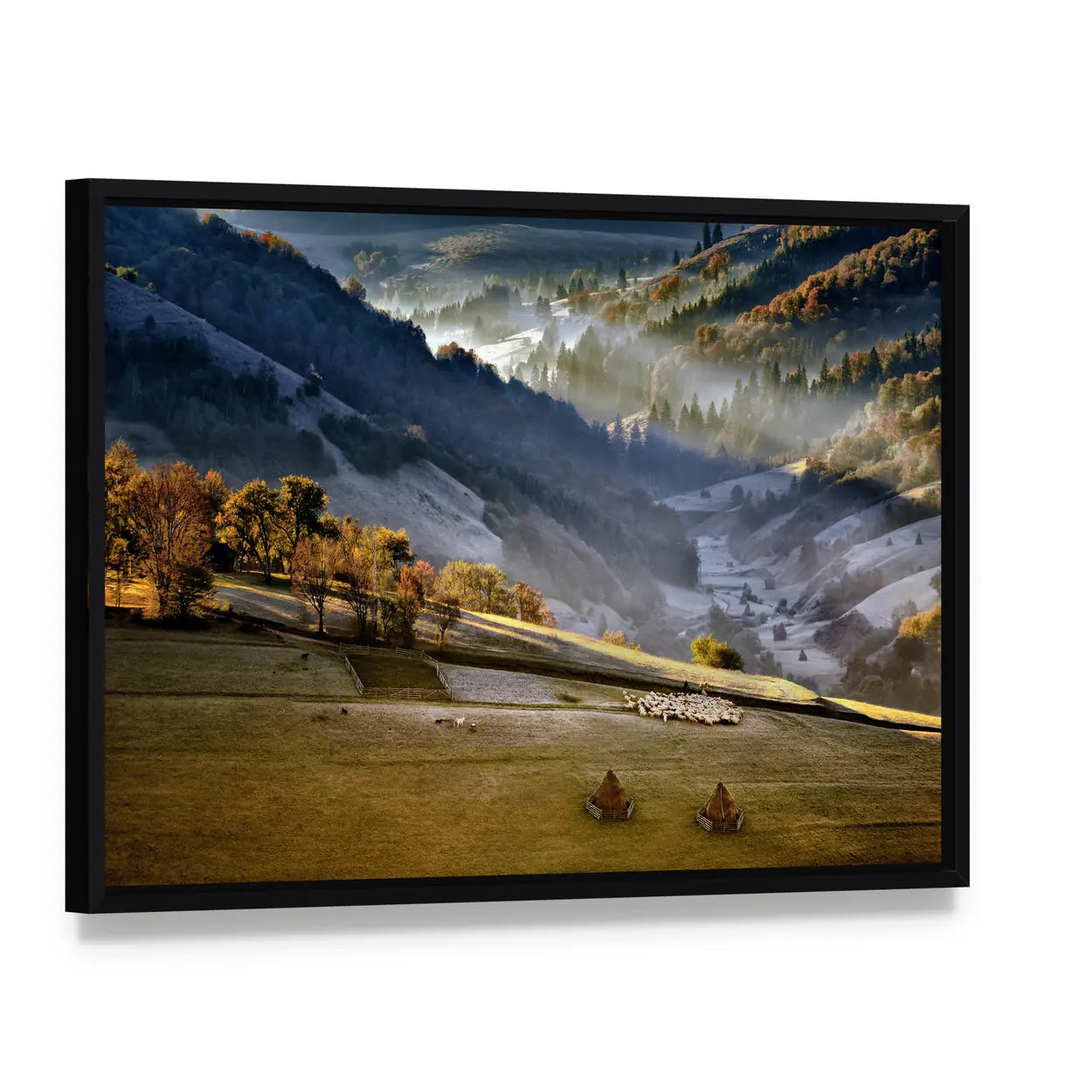 Shepherd With Sheep Heard In The Mountains Of Romania Canvas Wall Art, framed canvas in a black floater frame, angled product view