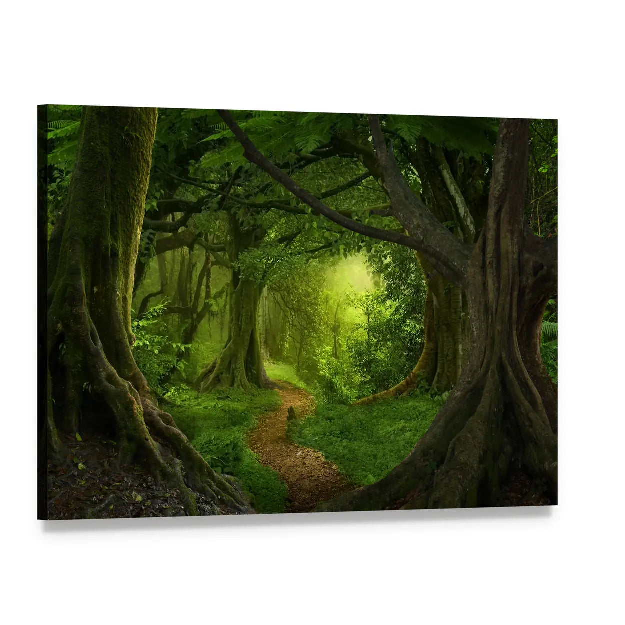 Deep Jungle Path in Southeast Asia Canvas Wall Art, single panel gallery wrapped canvas, angled product view