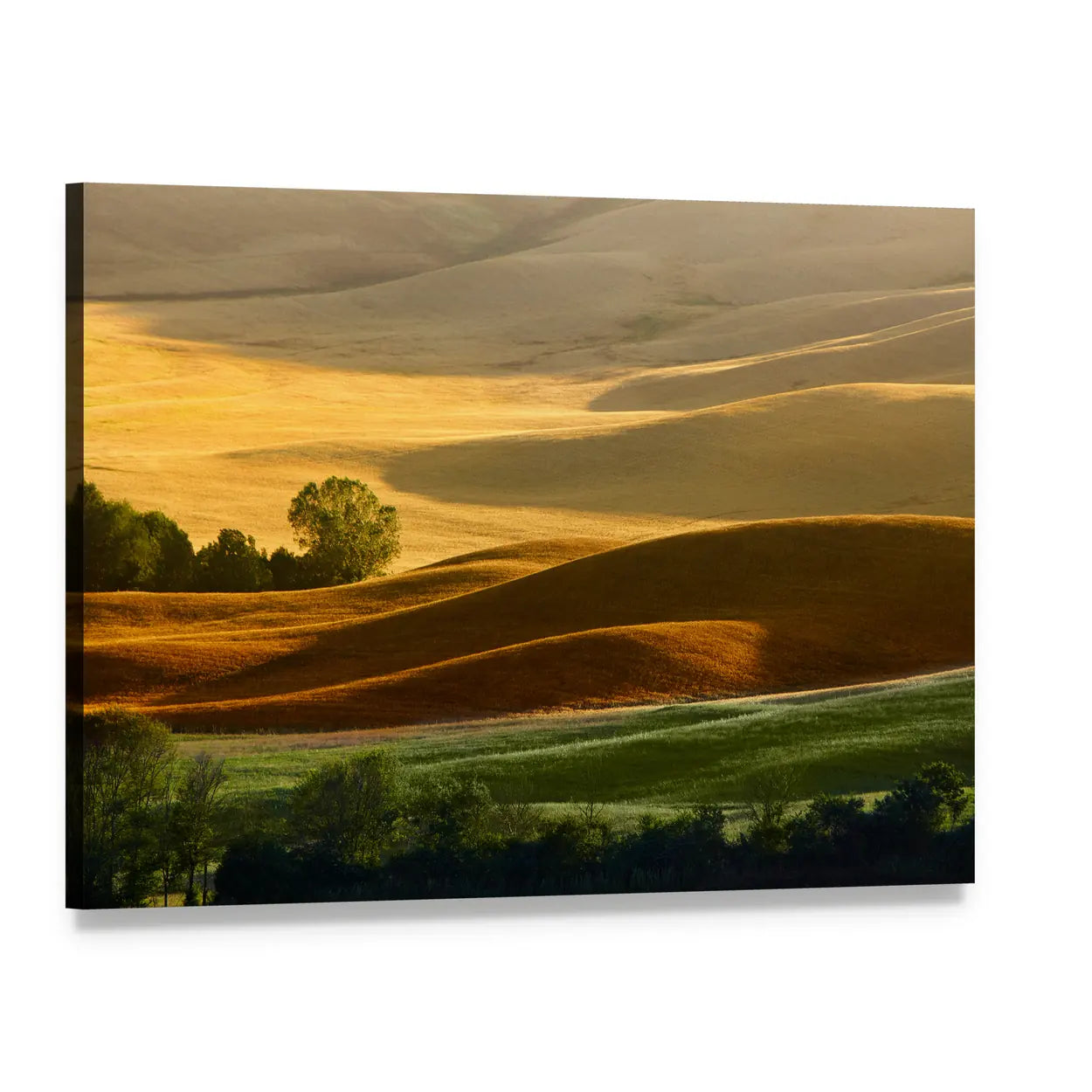 Tuscany Rolling Hills at Golden Hour Canvas Wall Art, single panel gallery wrapped canvas, angled product view
