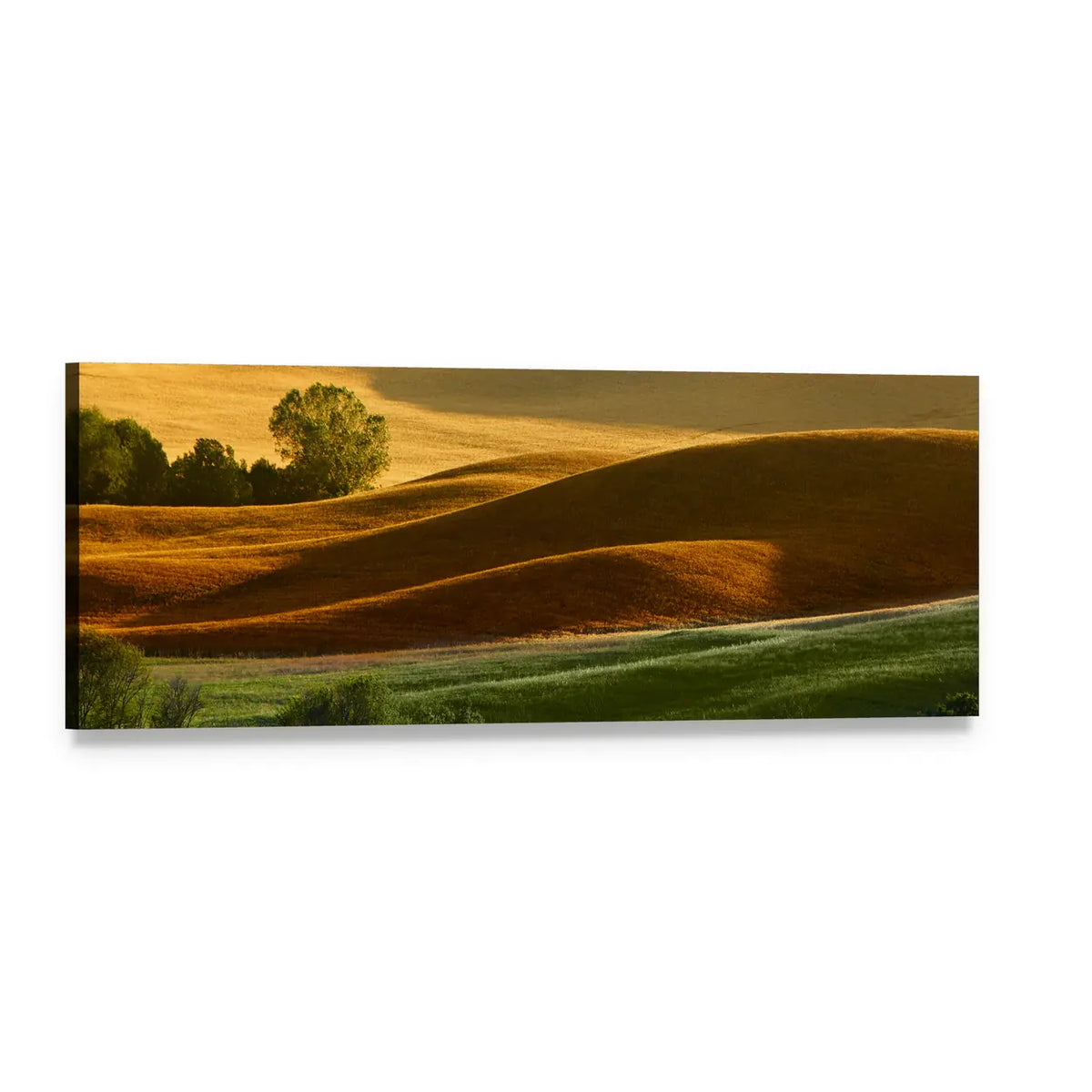 Tuscany Countryside Landscape Panoramic Canvas Wall Art, single panel gallery wrapped canvas, angled product view