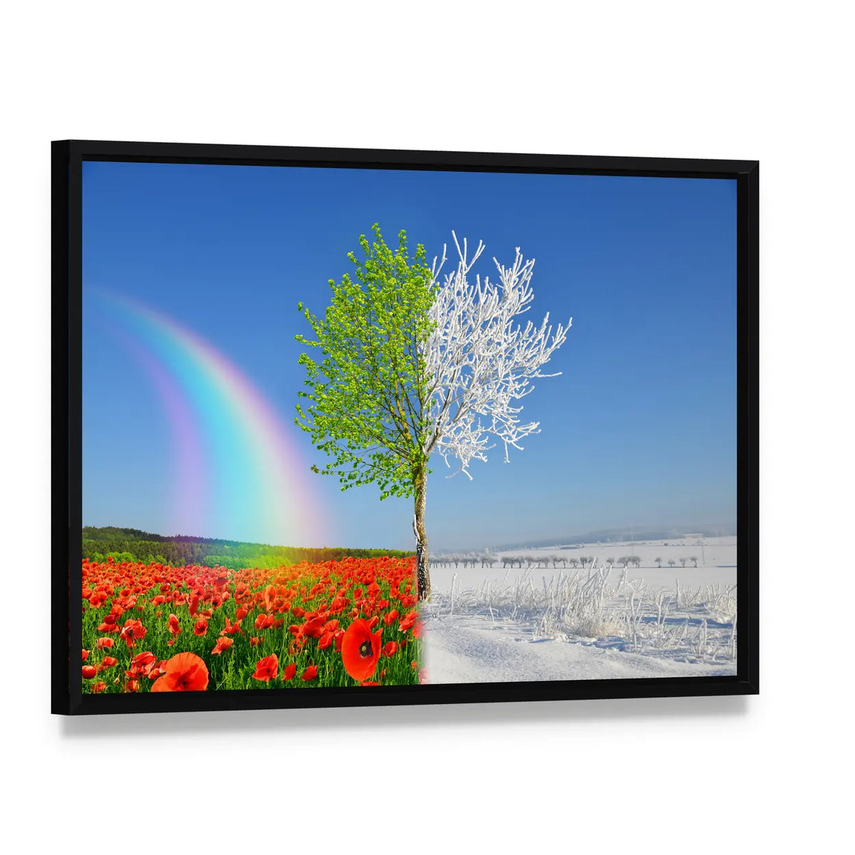 Split-season Tree with Poppies and Snow Canvas Wall Art, framed canvas in a black floater frame, angled product view