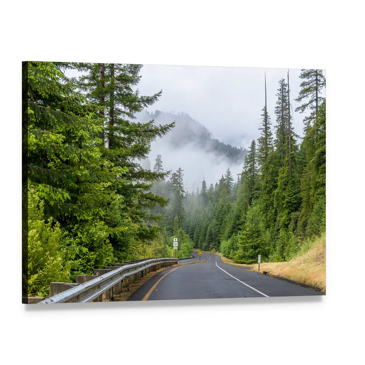 Highway in Redwood Forest Canvas Wall Art, single panel gallery wrapped canvas, angled product view