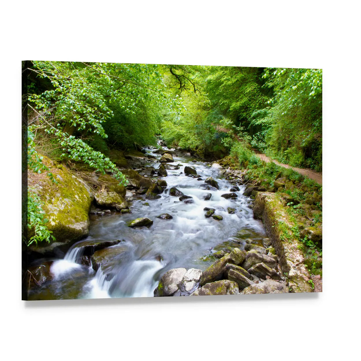 Rocky Stream with Moss-covered Stones Canvas Wall Art, single panel gallery wrapped canvas, angled product view