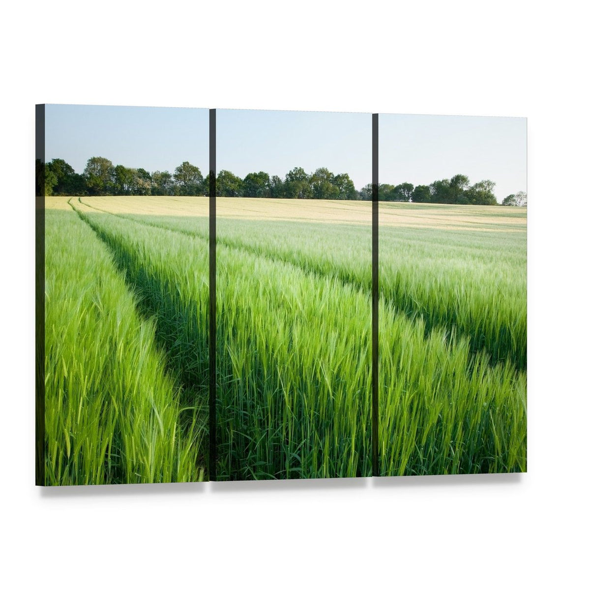 Green Wheat Field Canvas Wall Art, 3 panel 3 Horizontal layout gallery wrapped canvas set, angled product view