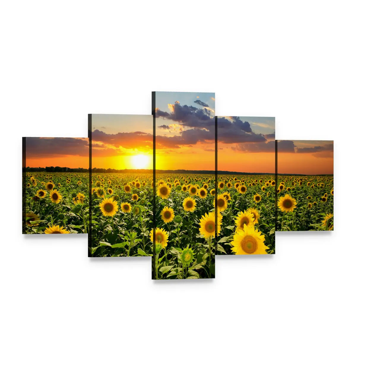 Sunflower Field at Sunset Canvas Wall Art, 5 panel 5 Star layout gallery wrapped canvas set, angled product view