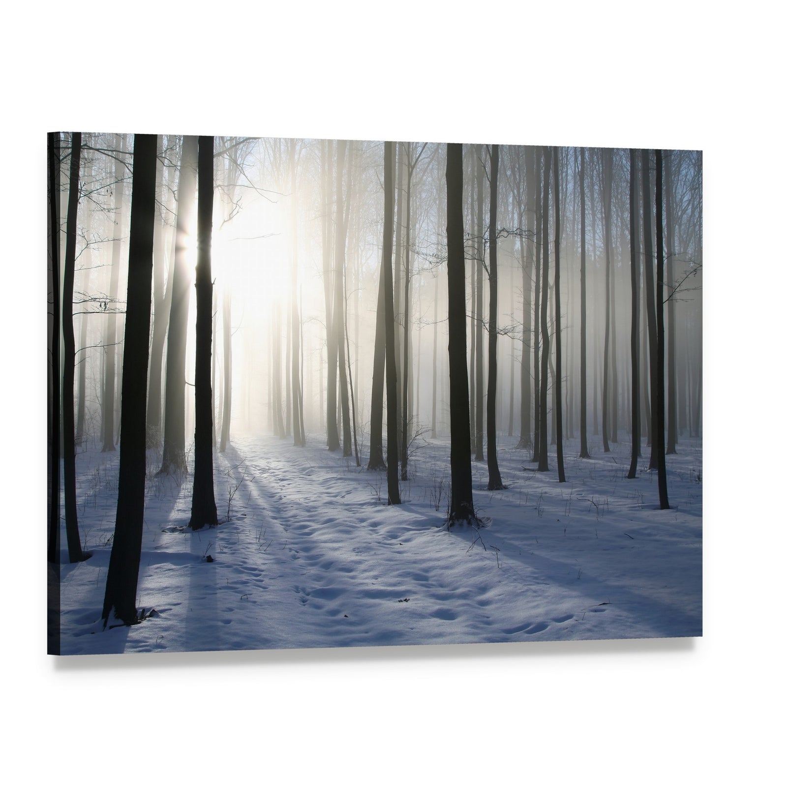 Misty Winter Forest Path Backlit by Sunlight Canvas Wall Art, single panel gallery wrapped canvas, angled product view