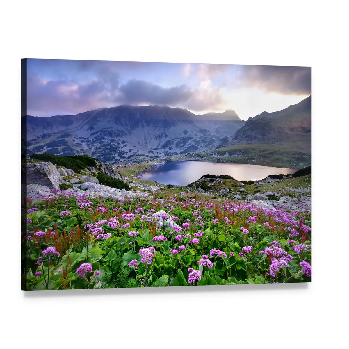 Alpine Lake with Purple Wildflowers Canvas Wall Art, single panel gallery wrapped canvas, angled product view