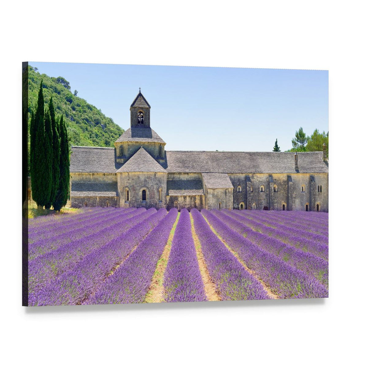 Sénanque Abbey and Lavender Fields Canvas Wall Art, single panel gallery wrapped canvas, angled product view