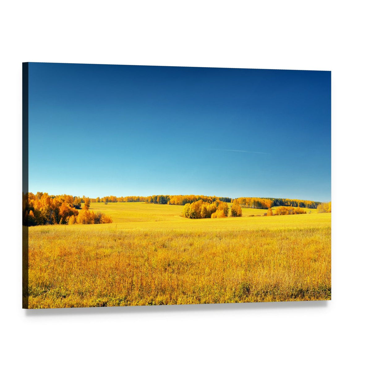 Yellow Field and Blue Sky Canvas Wall Art, single panel gallery wrapped canvas, angled product view
