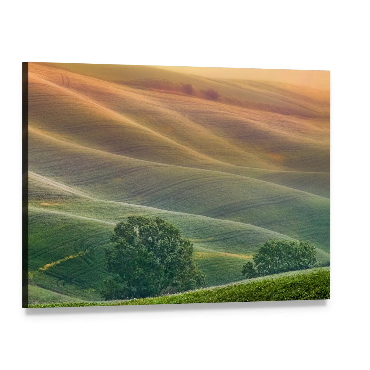 Tuscany Rolling Hills at Golden Hour Canvas Wall Art, single panel gallery wrapped canvas, angled product view