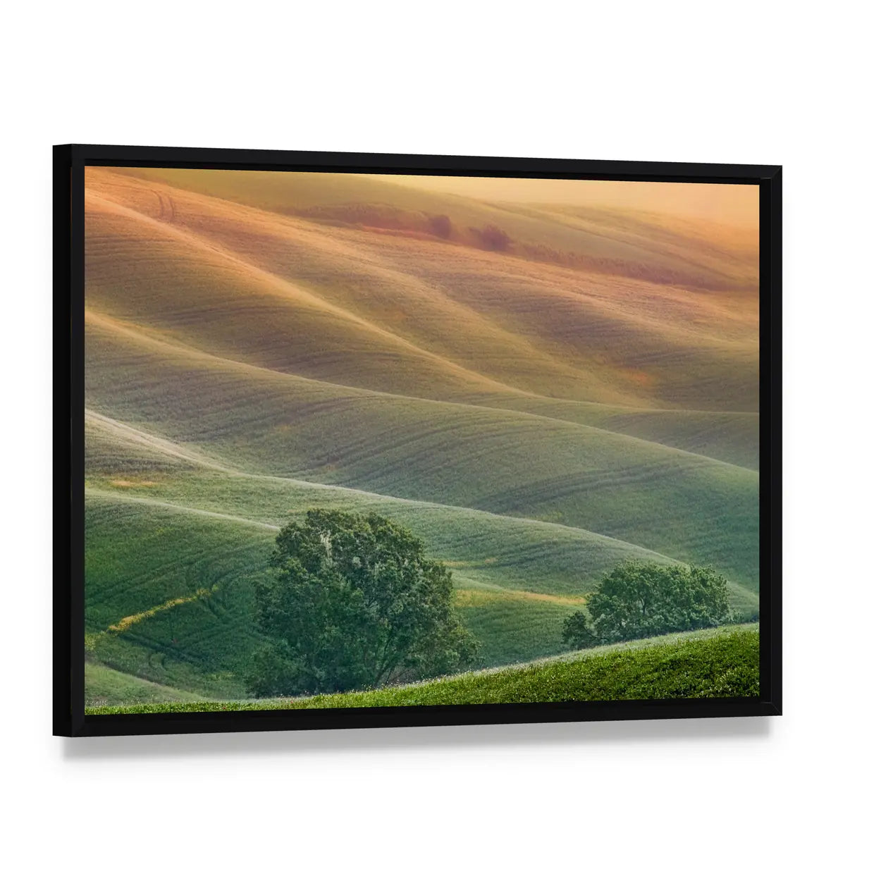 Tuscany Rolling Hills at Golden Hour Canvas Wall Art, framed canvas in a black floater frame, angled product view