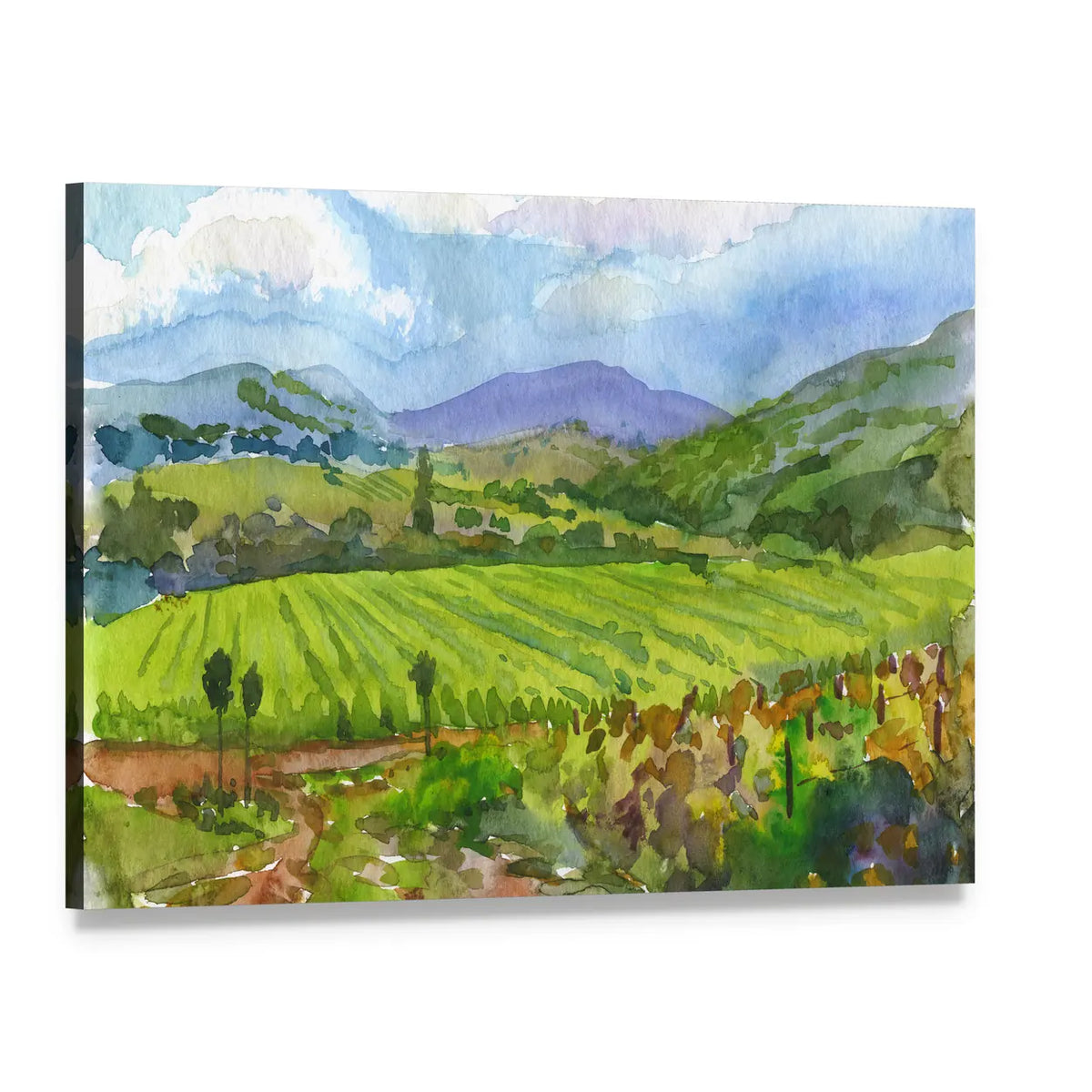 Watercolor Vineyard Landscape Canvas Wall Art, single panel gallery wrapped canvas, angled product view
