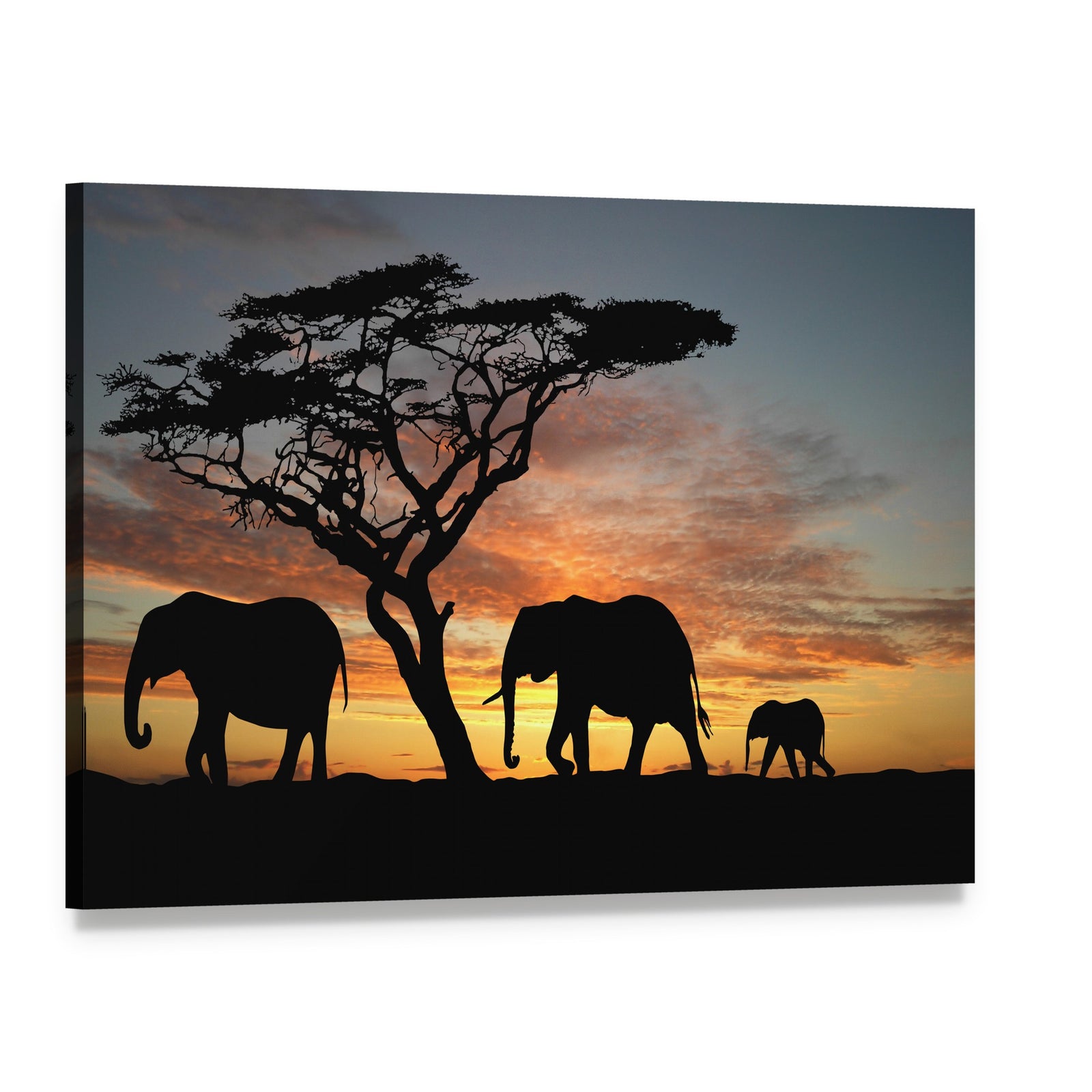 Herd of Elephants at Sunset Canvas Wall Art, single panel gallery wrapped canvas, angled product view