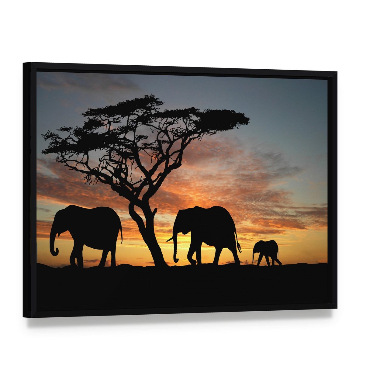 Herd of Elephants at Sunset Canvas Wall Art, framed canvas in a black floater frame, angled product view