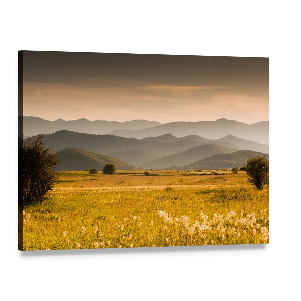 Golden Meadow and Rolling Hills Canvas Wall Art, single panel gallery wrapped canvas, angled product view