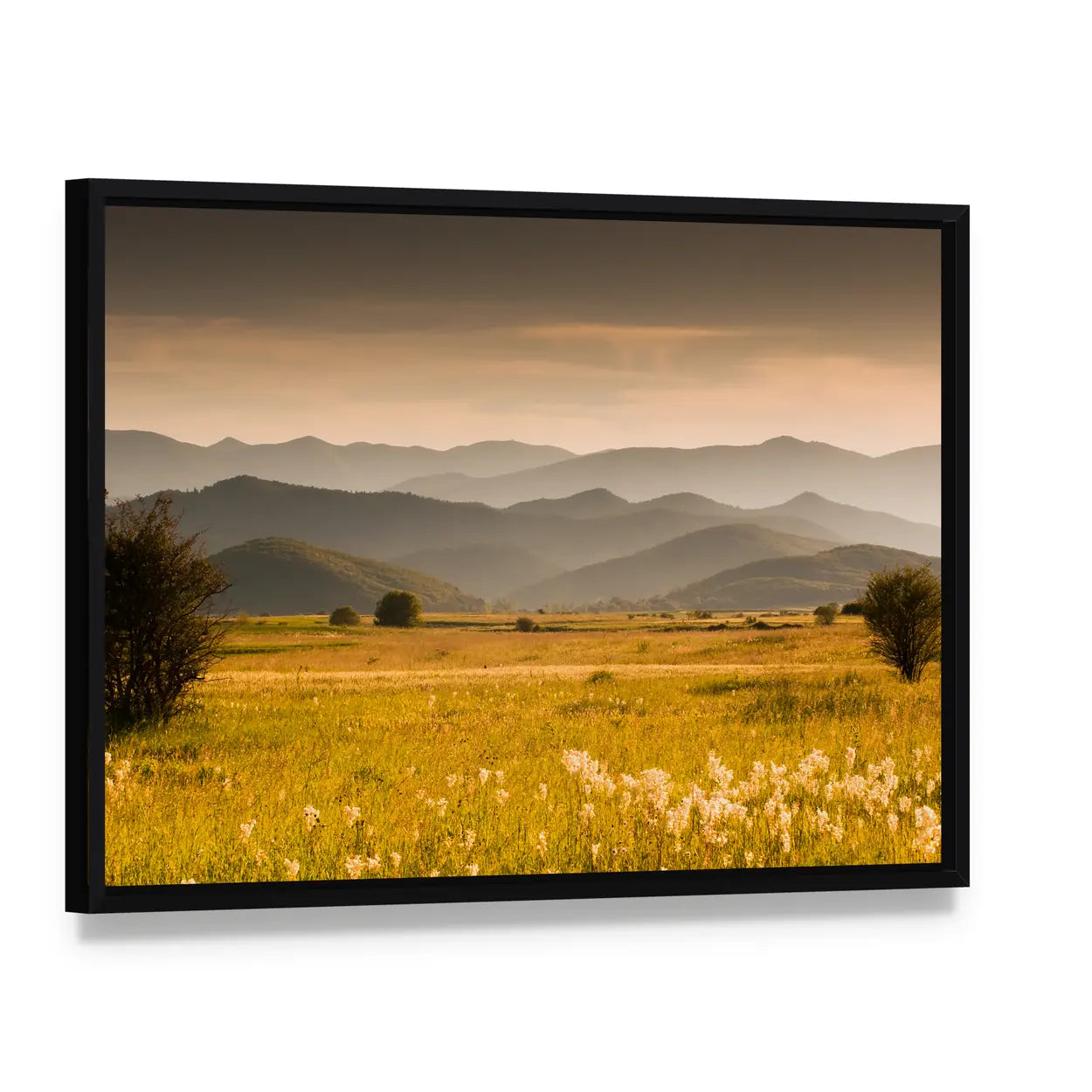 Golden Meadow and Rolling Hills Canvas Wall Art, framed canvas in a black floater frame, angled product view