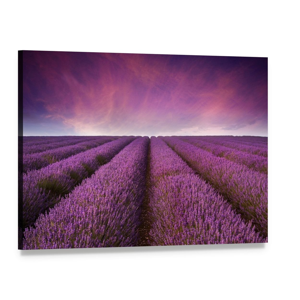 Lavender Field at Sunset Canvas Wall Art, single panel gallery wrapped canvas, angled product view