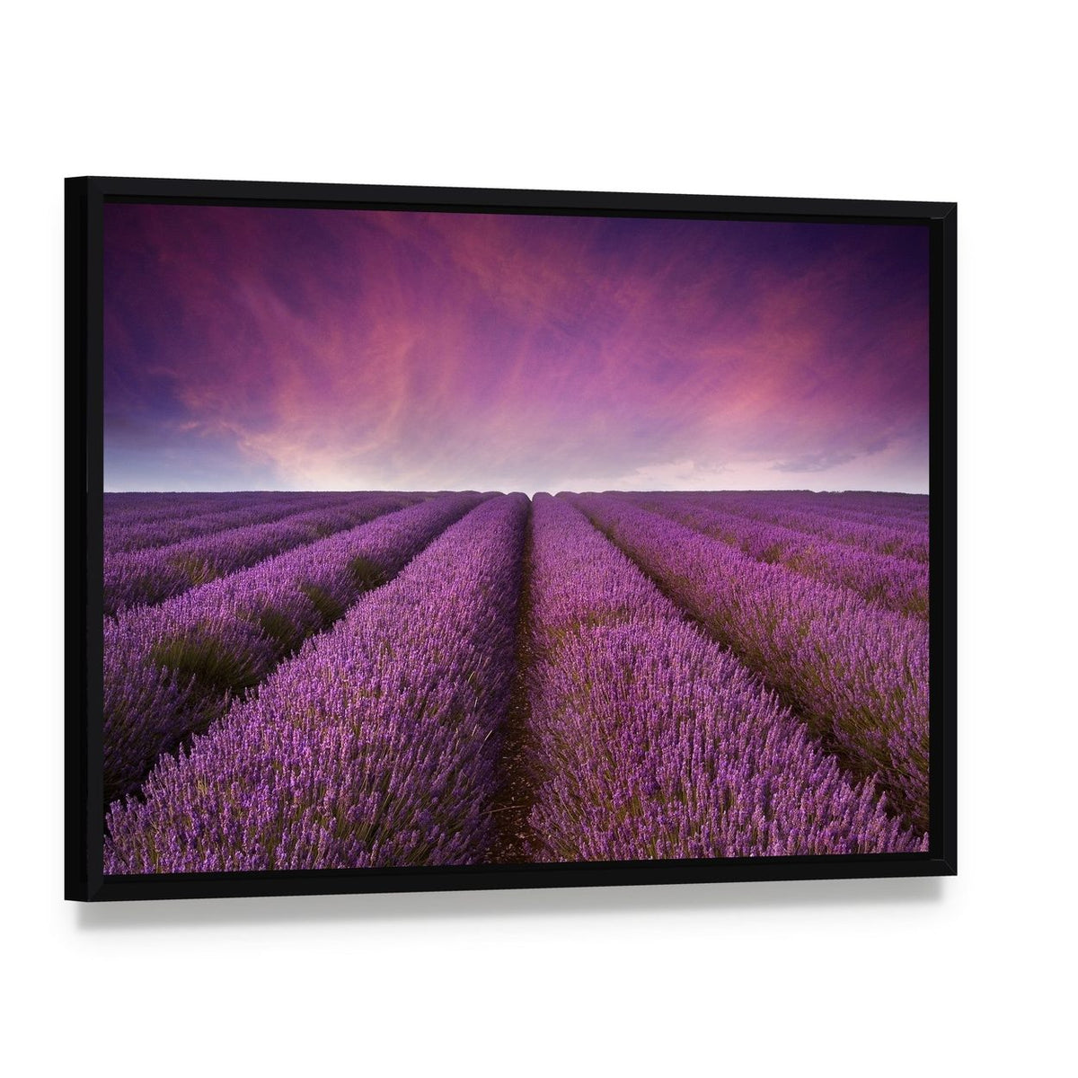 Lavender Field at Sunset Canvas Wall Art, framed canvas in a black floater frame, angled product view