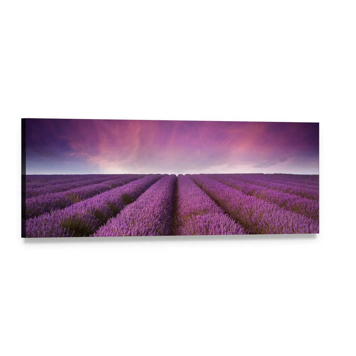 Lavender Field at Sunset Panoramic Canvas Wall Art, single panel gallery wrapped canvas, angled product view