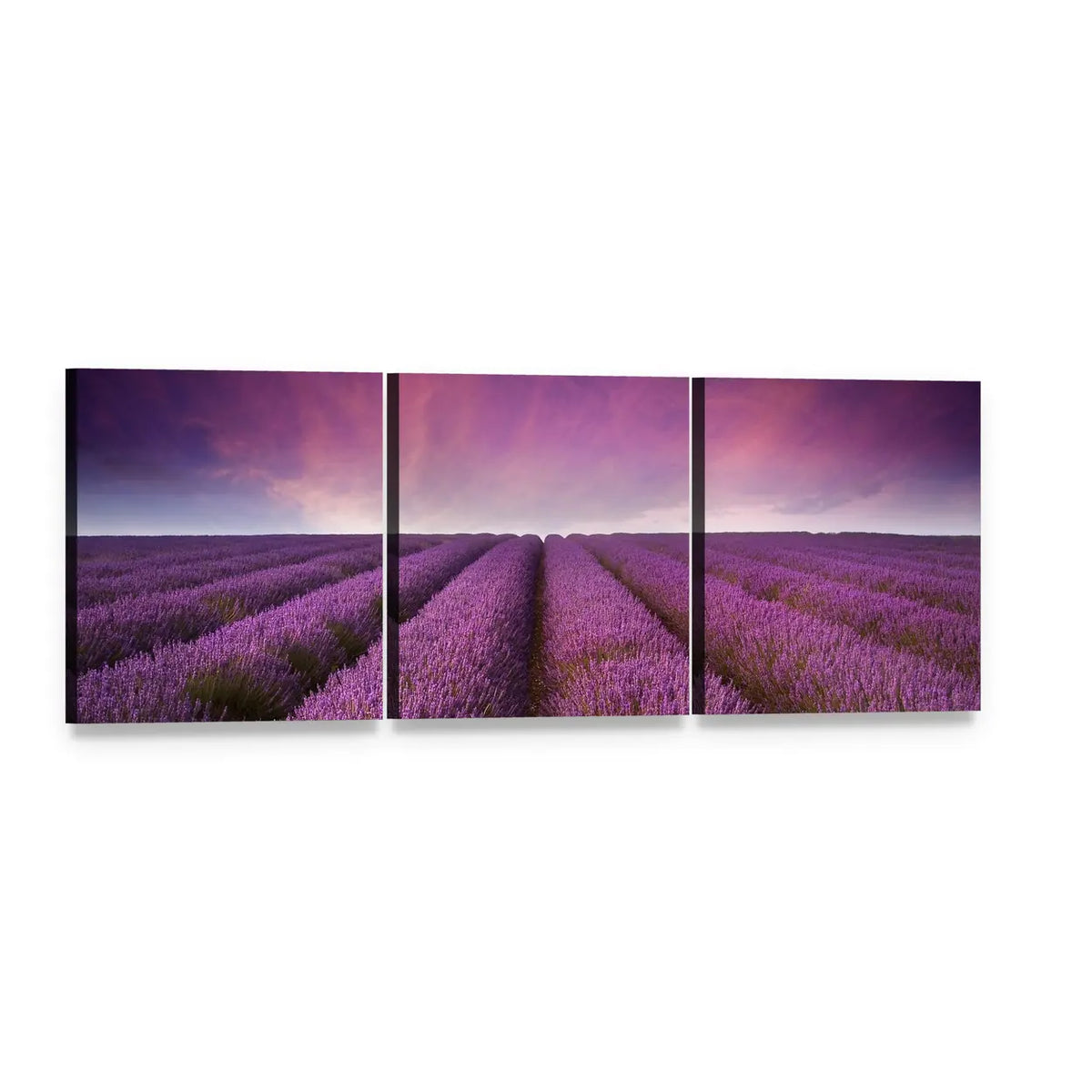 Lavender Field at Sunset Panoramic Canvas Wall Art, 3 panel 3 Piece layout gallery wrapped canvas set, angled product view