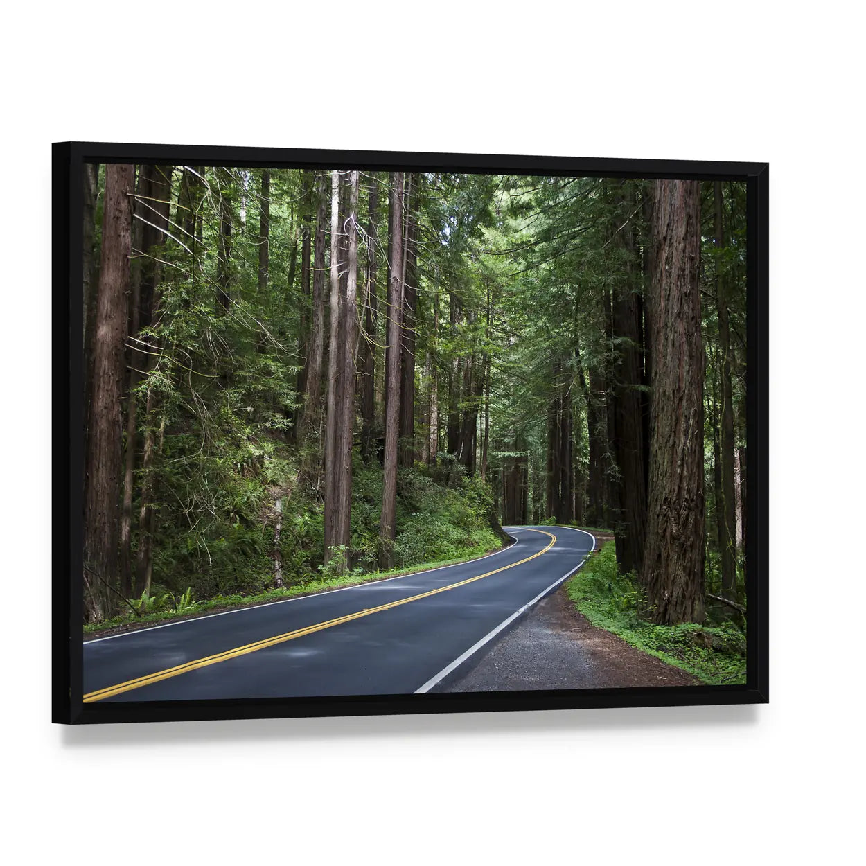 Redwoods Forest In California Canvas Wall Art, framed canvas in a black floater frame, angled product view