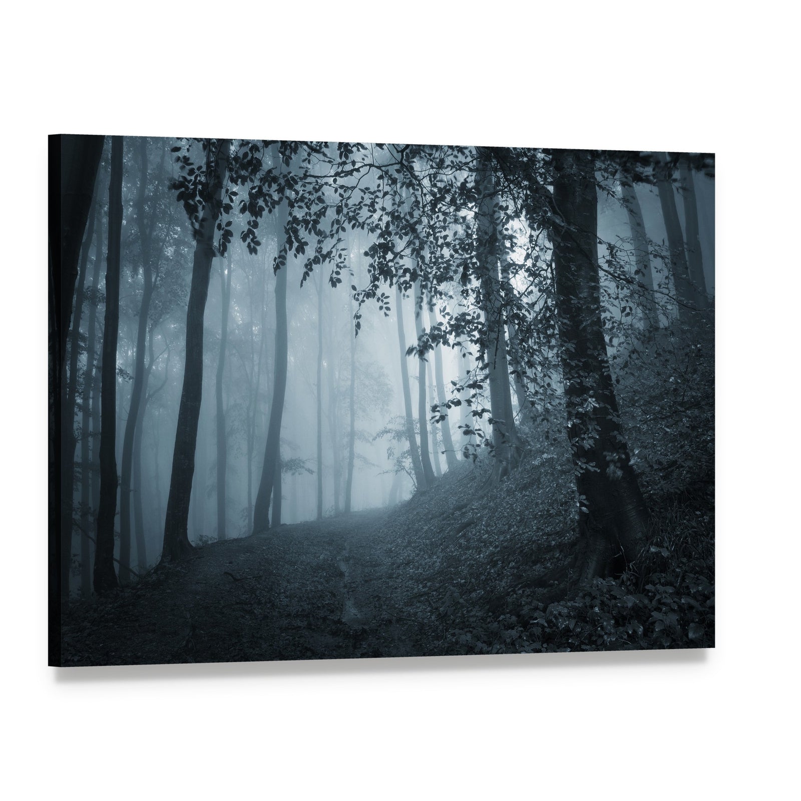 Dark Foggy Forest Canvas Wall Art, single panel gallery wrapped canvas, angled product view