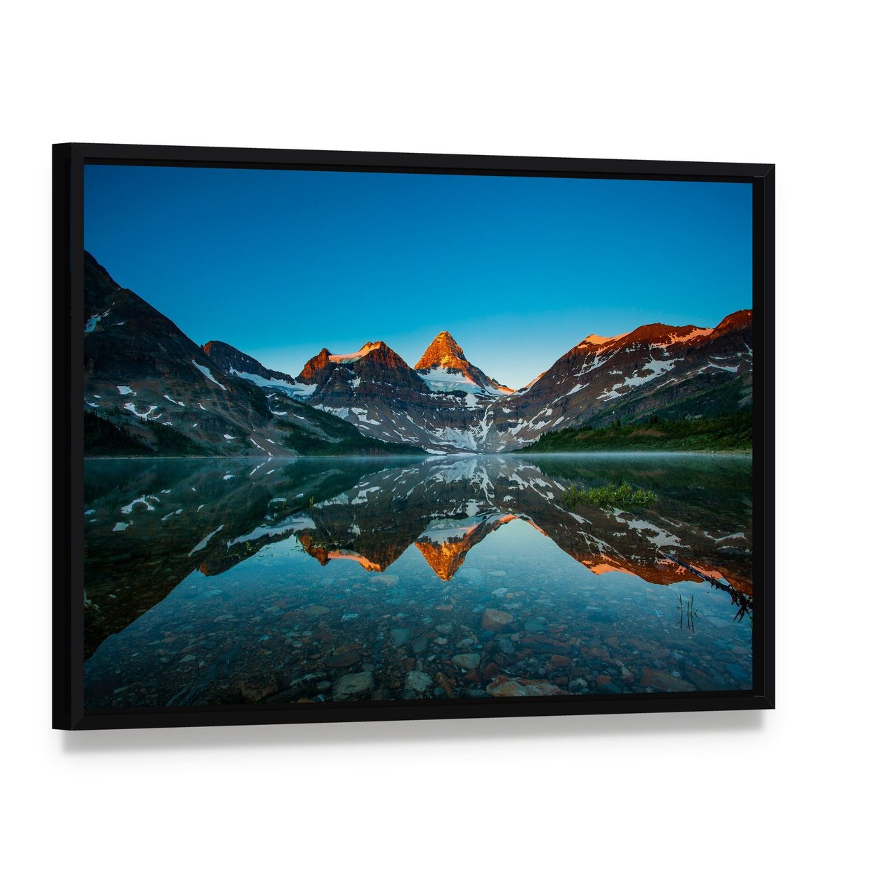 Reflection of Mount Assiniboine Canvas Wall Art, framed canvas in a black floater frame, angled product view
