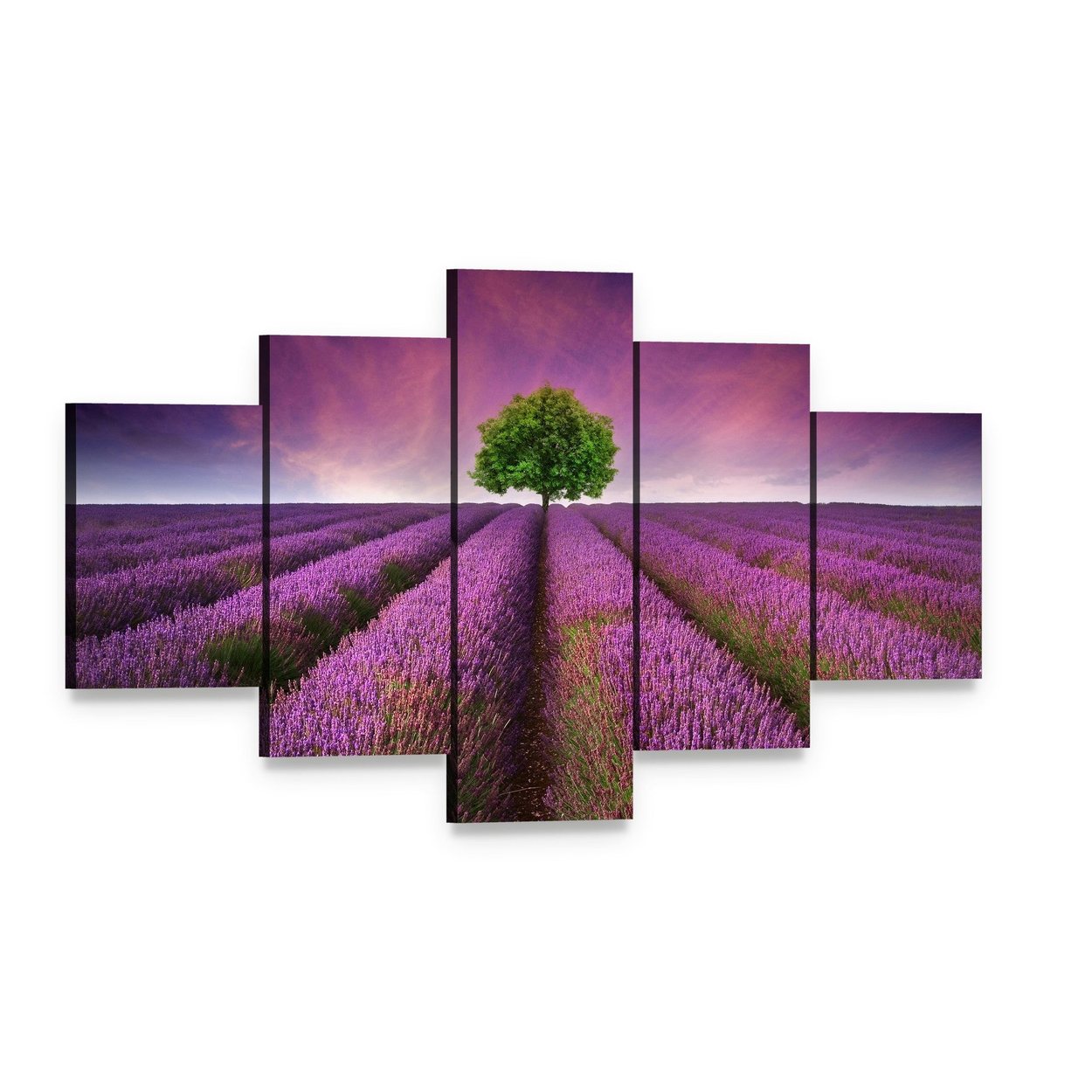 Lavender Field with Lone Green Tree Canvas Wall Art, 5 panel 5 Star layout gallery wrapped canvas set, angled product view