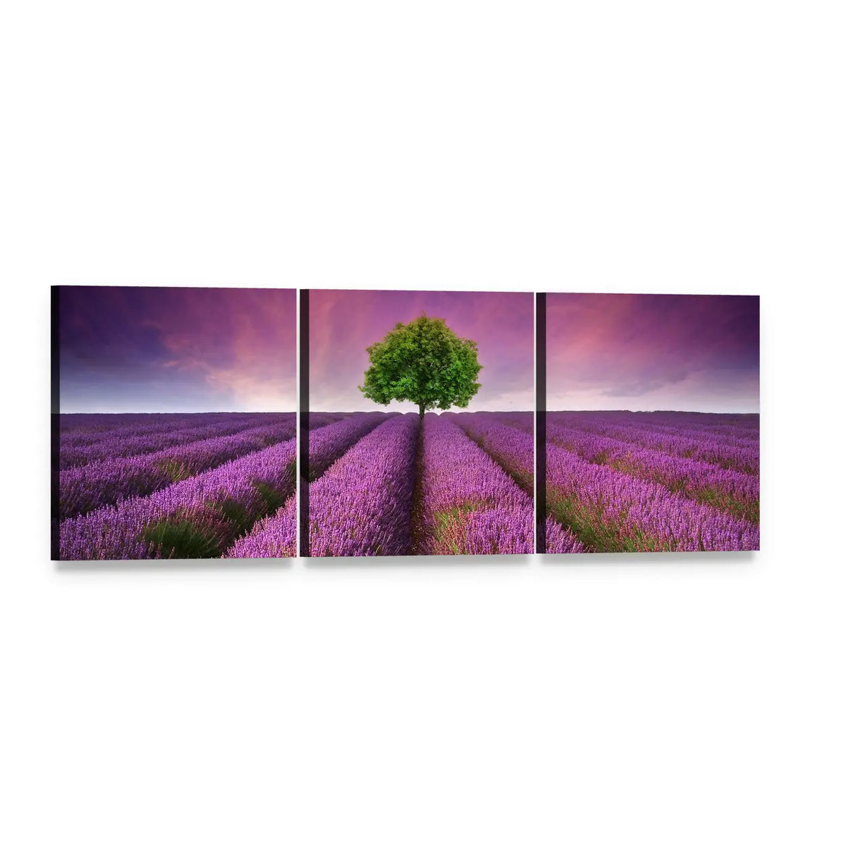 Lavender Field with Lone Tree at Sunset Panoramic Canvas Wall Art, 3 panel 3 Piece layout gallery wrapped canvas set, angled product view