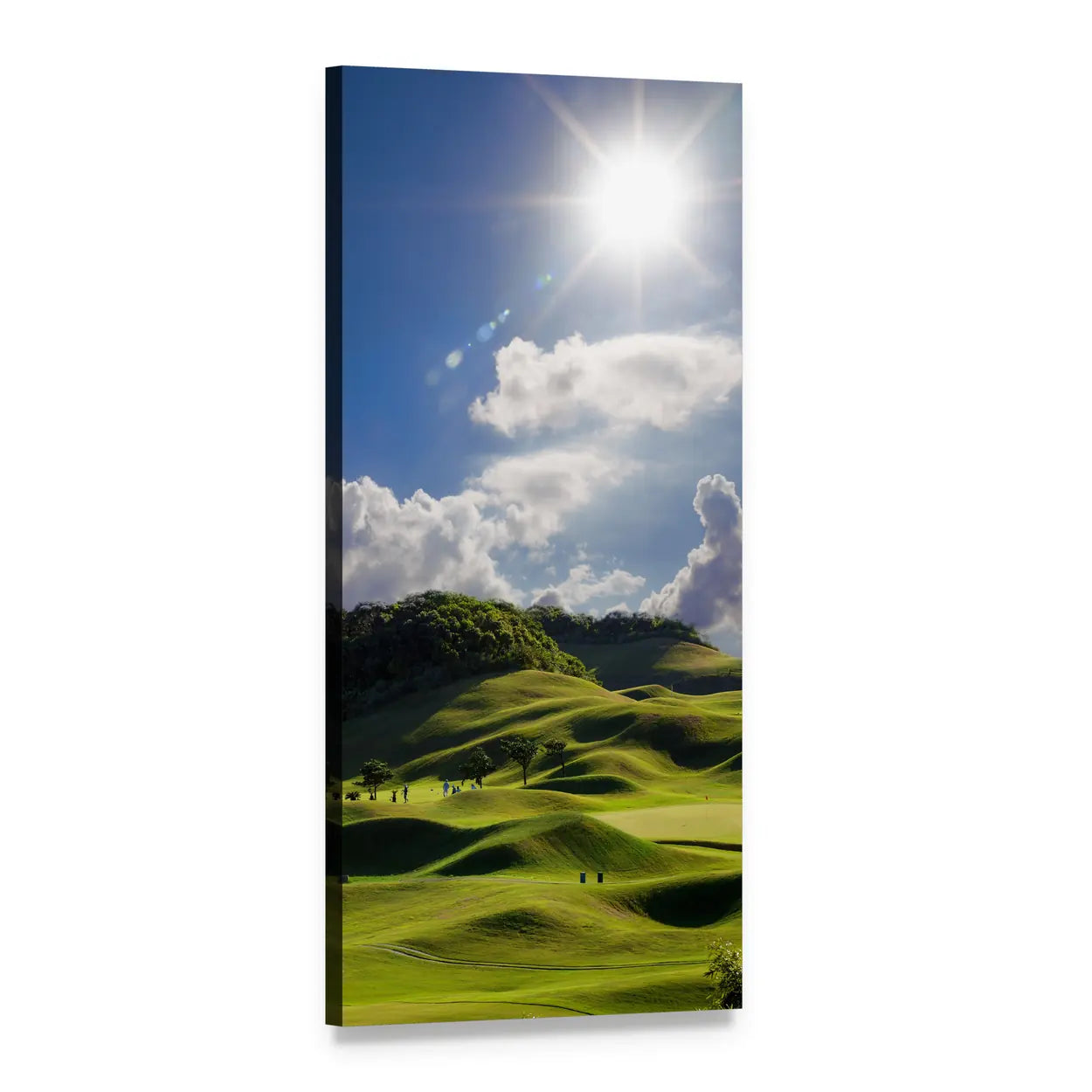 Golf Place Rolling Green Hills Vertical Canvas Wall Art, 1 panel 1 Vertical layout gallery wrapped canvas set, angled product view