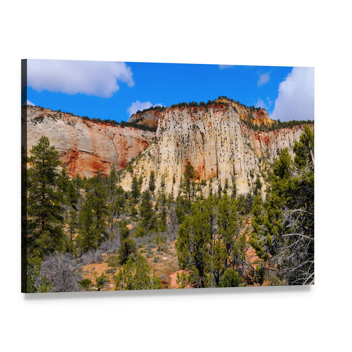 Zion National Park Layered Rock Formations Canvas Wall Art, single panel gallery wrapped canvas, angled product view