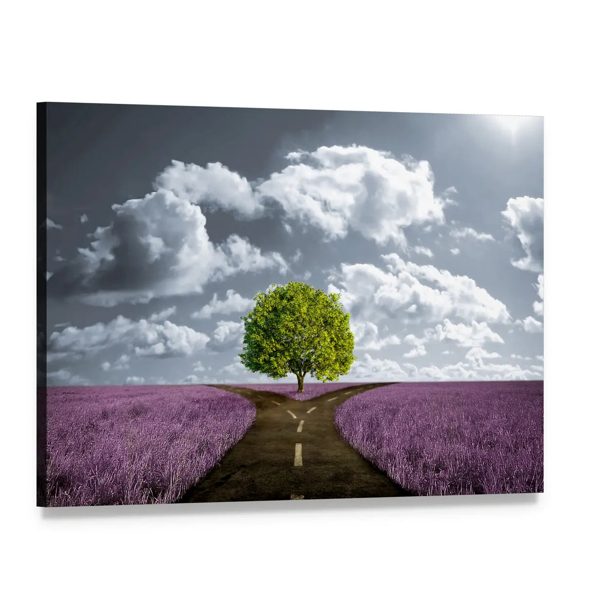 Crossroad in Lavender Meadow Canvas Wall Art, single panel gallery wrapped canvas, angled product view