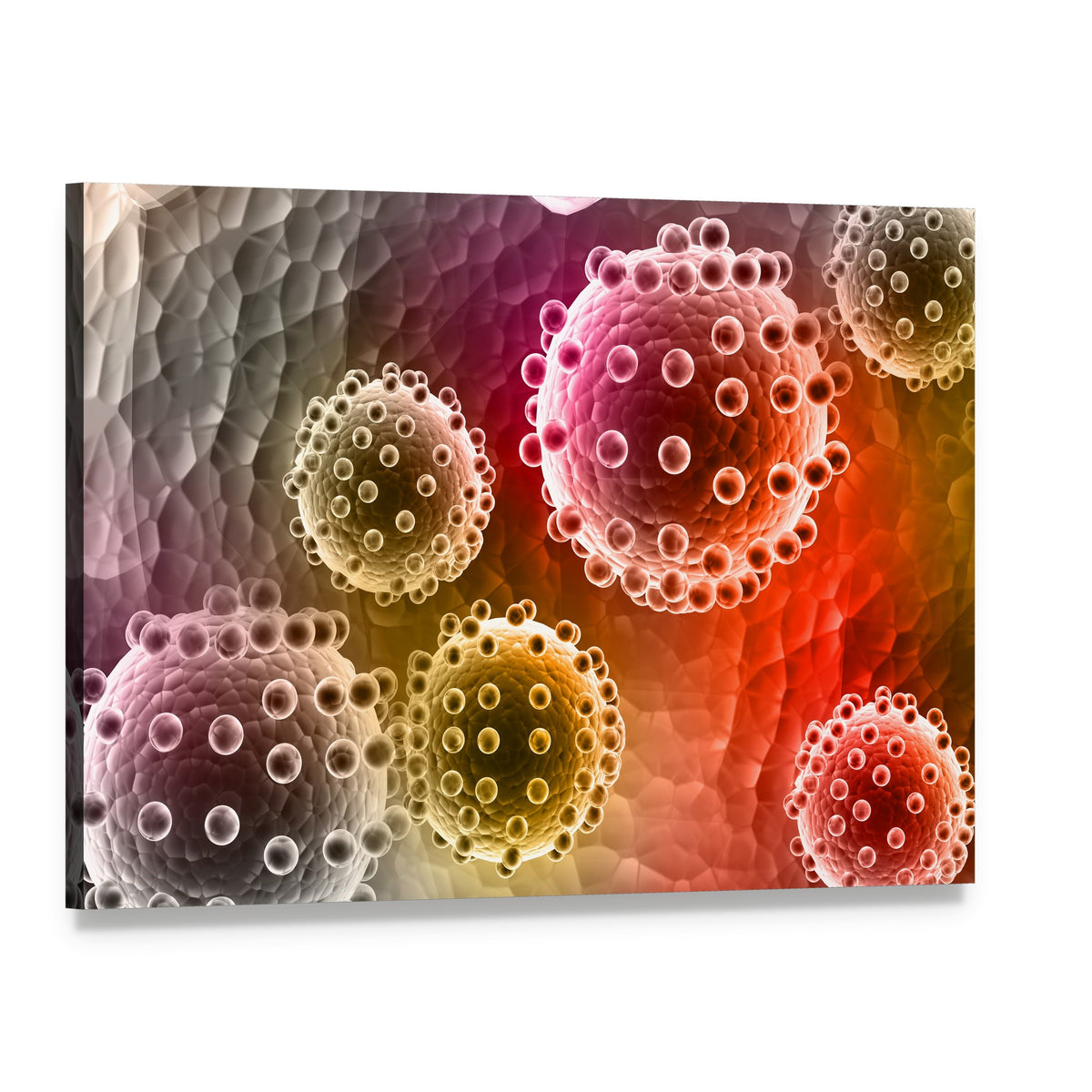 Colorful Abstract Virus Study Canvas Wall Art, single panel gallery wrapped canvas, angled product view
