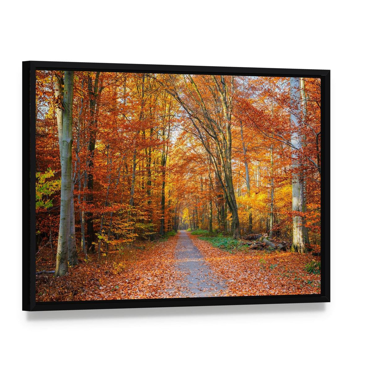 Pathway Through the Autumn Forest Canvas Wall Art, framed canvas in a black floater frame, angled product view