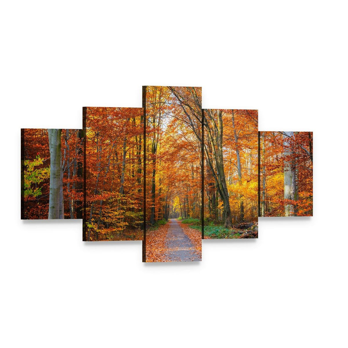 Pathway Through the Autumn Forest Canvas Wall Art, 5 panel 5 Star layout gallery wrapped canvas set, angled product view
