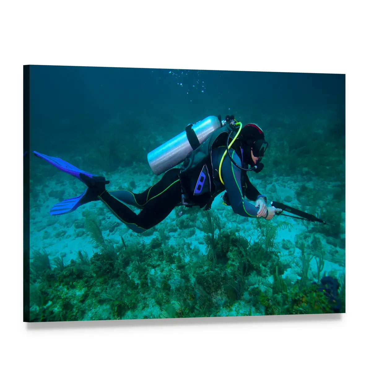 Scuba Diver with Speargun Canvas Wall Art, single panel gallery wrapped canvas, angled product view