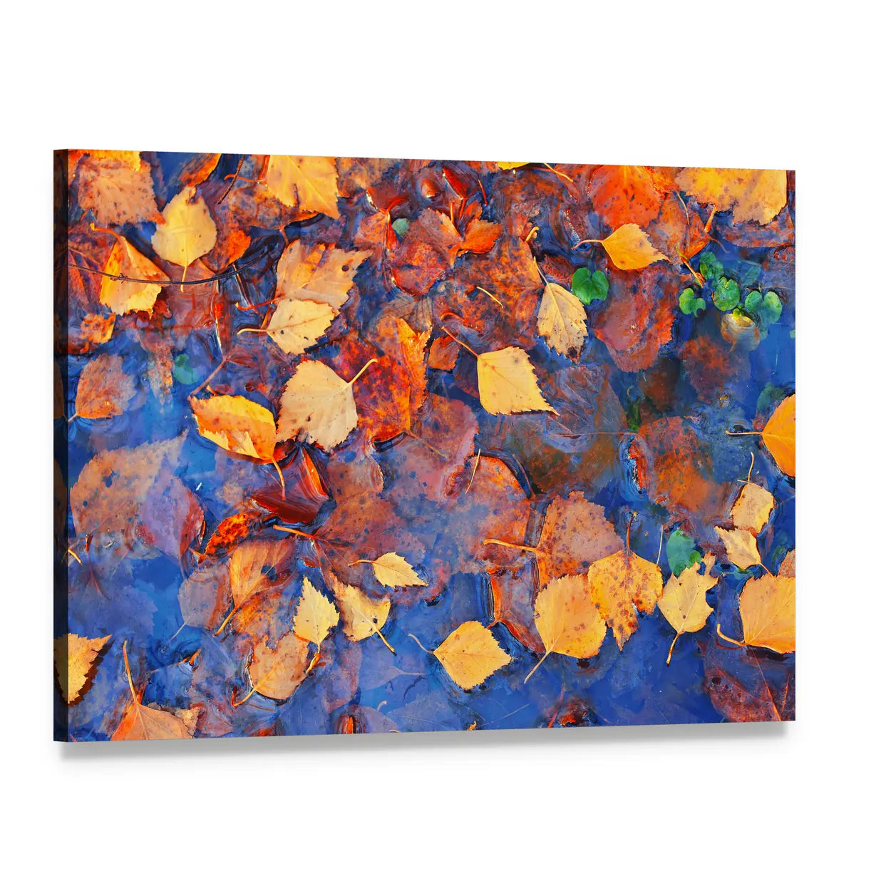 Autumn Birch Leaves on Icy Pond Canvas Wall Art, single panel gallery wrapped canvas, angled product view