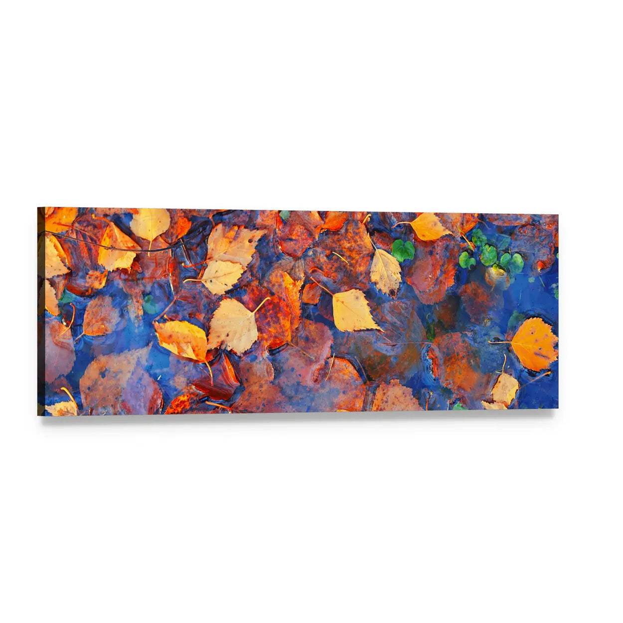 Birch Leaves Over Autumn Pond Panoramic Canvas Wall Art, single panel gallery wrapped canvas, angled product view