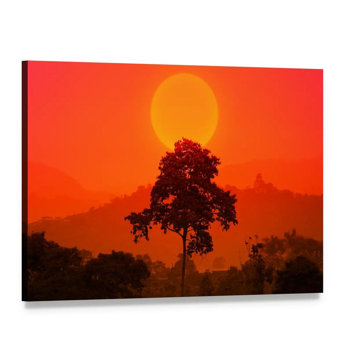 African Sunset with Big Tree Canvas Wall Art, single panel gallery wrapped canvas, angled product view