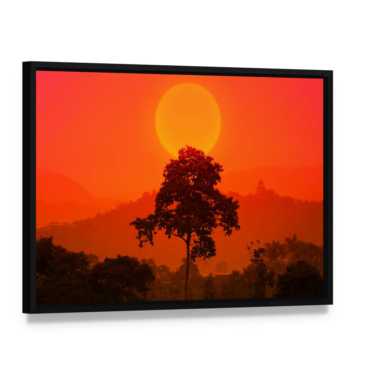 African Sunset with Big Tree Canvas Wall Art, framed canvas in a black floater frame, angled product view