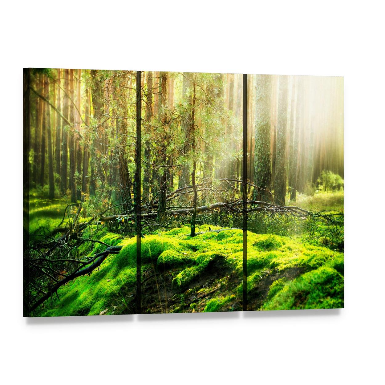 Sunlit Forest with Moss and Sunbeams Canvas Wall Art, 3 panel 3 Horizontal layout gallery wrapped canvas set, angled product view