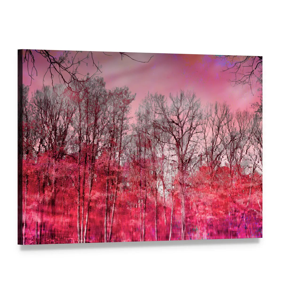 Surreal Pink Winter Forest Canvas Wall Art, single panel gallery wrapped canvas, angled product view