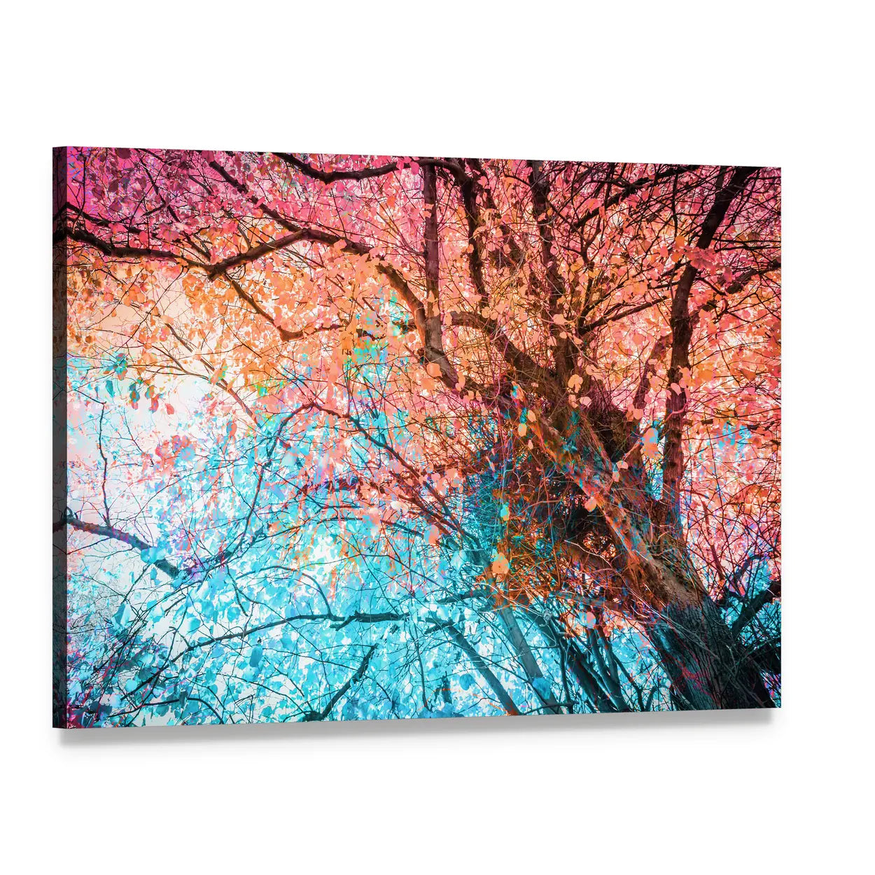 Looking Up Through Colorful Autumn Canopy Canvas Wall Art, single panel gallery wrapped canvas, angled product view