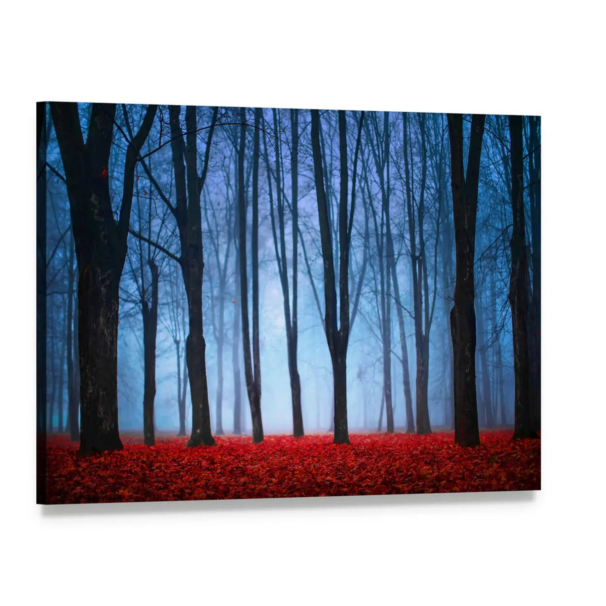 Foggy Autumn Forest with Red Leaves Canvas Wall Art, single panel gallery wrapped canvas, angled product view