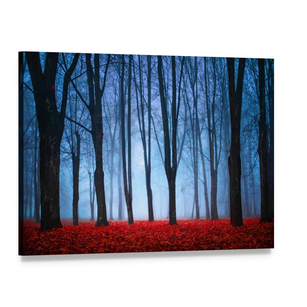 Foggy Autumn Forest with Red Leaves Canvas Wall Art, single panel gallery wrapped canvas, angled product view