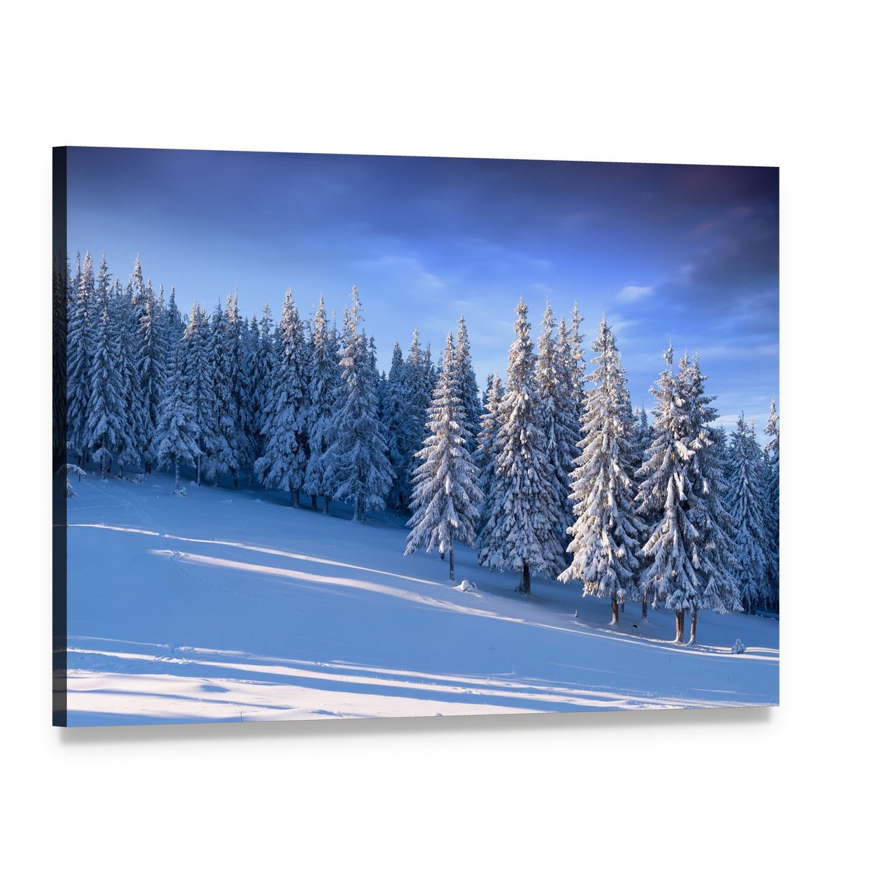 Winter Landscape in Forest Canvas Wall Art, single panel gallery wrapped canvas, angled product view